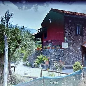 La Casa Degli Ulivi Secolari Casa vacanze Passopisciaro